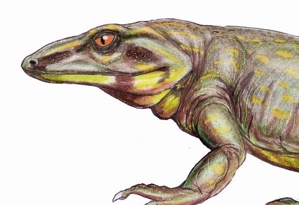 A new study has revealed that an extinct lizard-like creature suffered from a bone disease similar to Paget's disease 289 million years ago.