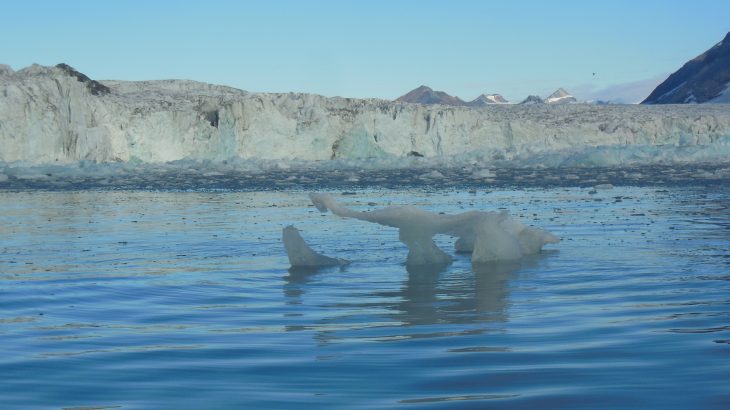 A new study has revealed that even though cold winters tend to coincide with melting events in the Arctic, there is no causal relationship involved.