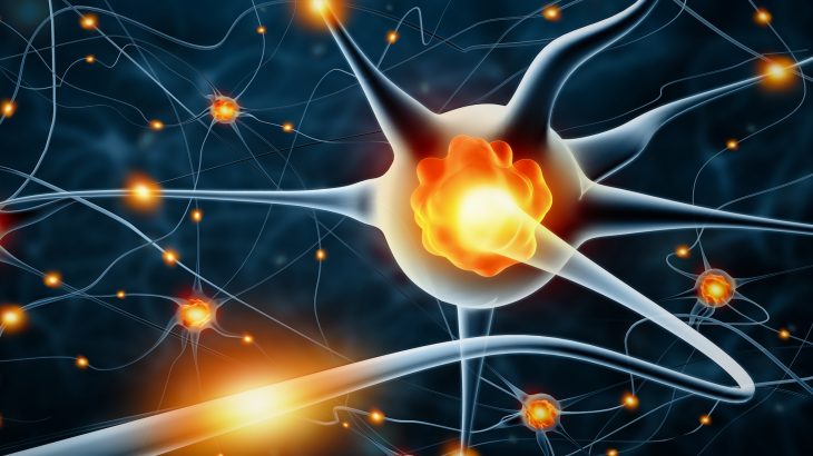 Psychophysical laws use mathematical terms to help describe connections that tie the physical world to the mental world.