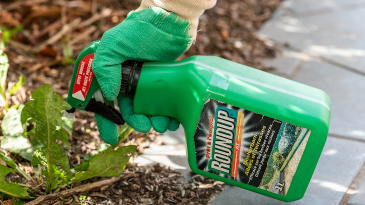 Companies are now being told to remove any warning language from labels on products that contain the pesticide glyphosate.