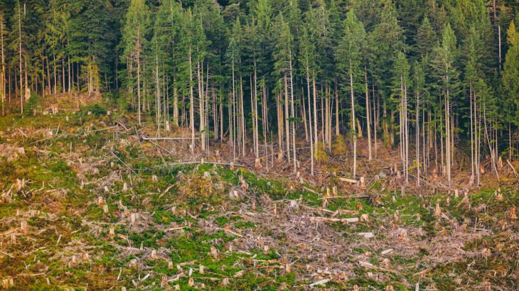 The United States is losing natural land at an alarming rate, according to a new report from the Center for American Progress (CAP).
