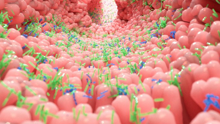 In a groundbreaking new study, experts have discovered that there may be more genes in the collective human microbiome than stars in the observable universe.