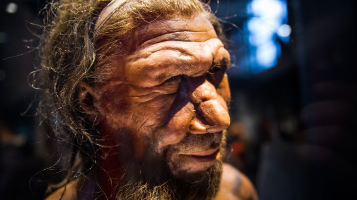 According to new research from the Washington University, Neanderthals commonly suffered from “swimmer’s ear” due to abnormal bone growths in the ear canal.