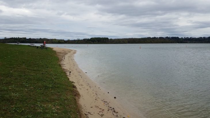 The quality of different waterways can vary from season to season due to microbial communities that thrive in different conditions.