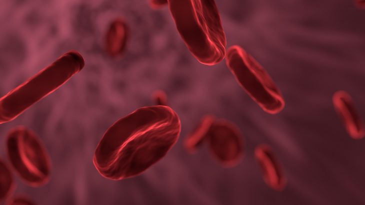 red blood cells