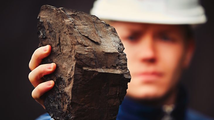 Scientists have identified specific molecular components of humic substances in brown coal, and in the process, found antiviral substances that could combat the tick-borne encephalitis virus.
