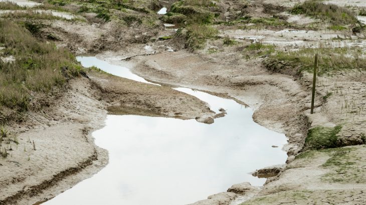 New research shows that bacteria and microorganisms found in muddy marshes and coastal mud effectively cool the warming coastal climate.