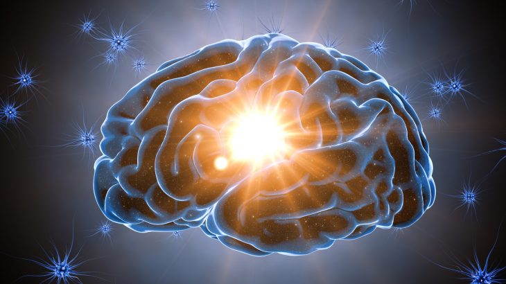 Impulsive decision-making is not a growing phase that is unique to teenagers, but is actually experienced by other primates as well.
