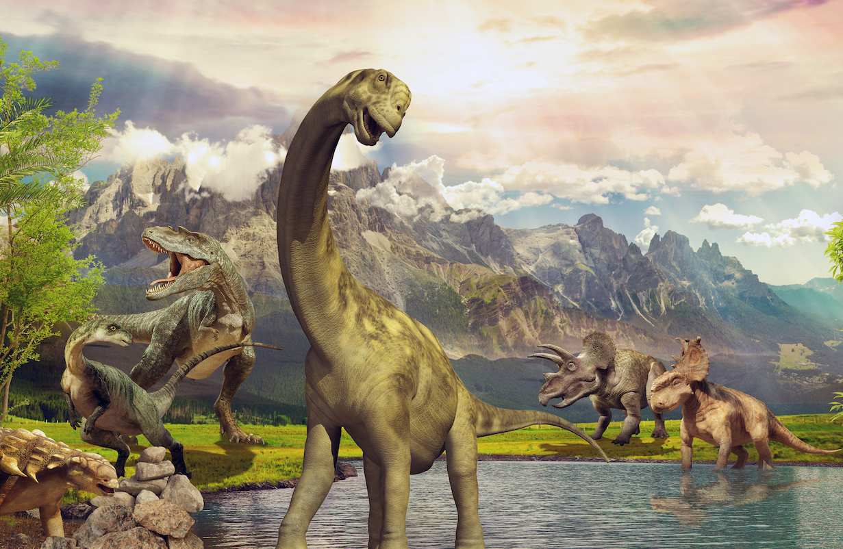 Increases in oxygen levels helped give rise to the dinosaurs •