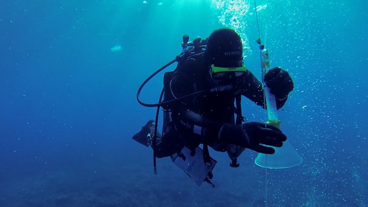 Some scientists believe that a feasible strategy for climate change mitigation is to inject carbon dioxide (CO2) deep into the seafloor.