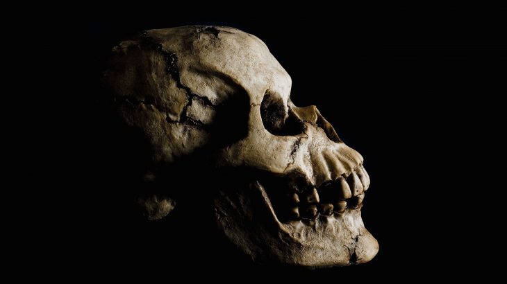 Cranial modification may have been used as a way to show cultural affiliation during the 5th and 6th centuries in Croatia.