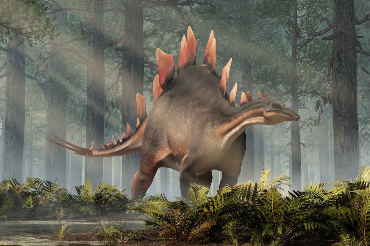 Stegosaurus fossil may be the oldest ever discovered • Earth.com