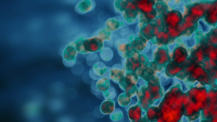 As early humans evolved from their ancient primate ancestors, a helpful genetic mutation arose that created immunity to the simian immunodeficiency virus.