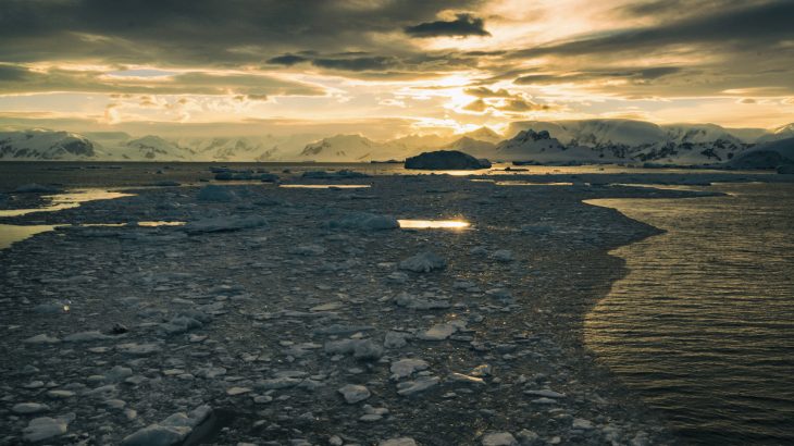 Researchers have found that carbon absorption in the Southern Ocean off the West Antarctic Peninsula has been drastically altered by climate change.