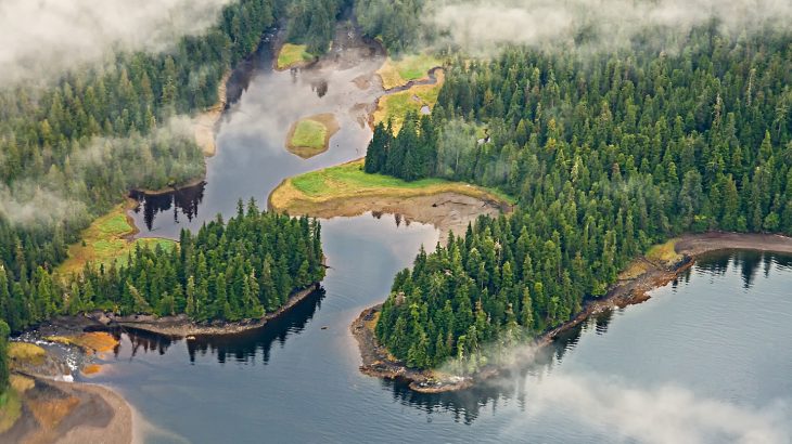 According to a new report in the Washington Post, President Trump is now pursuing weaker logging, mining, and road construction regulations in Alaska’s Tongass National Forest.