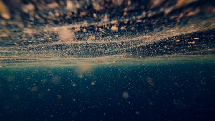 In a new study, researchers discovered that phytoplankton are much more resilient to nutrient stress than previously thought.