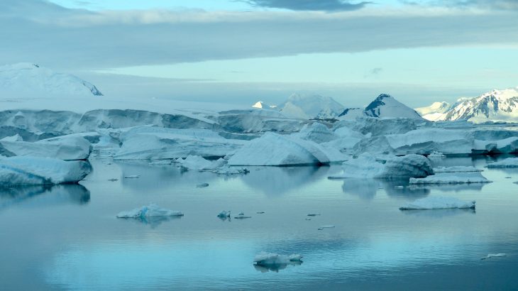 Biological processes far off the coast of Antarctica in the Southern Ocean are the most important factors in determining how the ocean absorbs carbon dioxide.