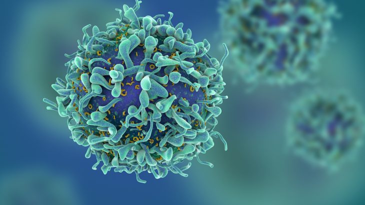 Healthy cells that are in the immediate vicinity of a tumor become more stem cell-like and promote the spread of cancer.