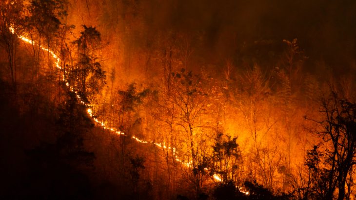A forest fire burns in northern Thailand. Massive wildfires are sparking up at unusual times of the year growing quickly out of control in what is becoming the new normal.
