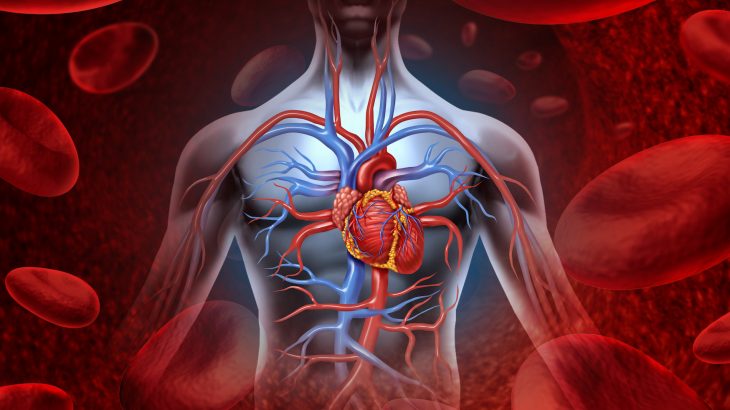 Cardiovascular disease is the leading cause of death among middle-aged adults worldwide, but deaths from cancer are twice as frequent in high-income countries.
