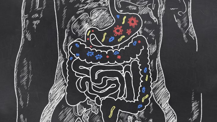 Within the past two decades, scientists have realized that gut bacteria can actually affect a person’s mood.