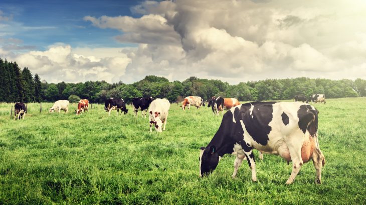 The less-regulated agriculture and transportation industries have remained roughly constant in their pollutant contribution.
