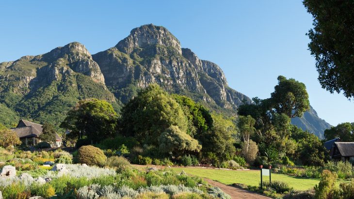 Plant Blindness Education, Kirstenbosch Botanic Garden
