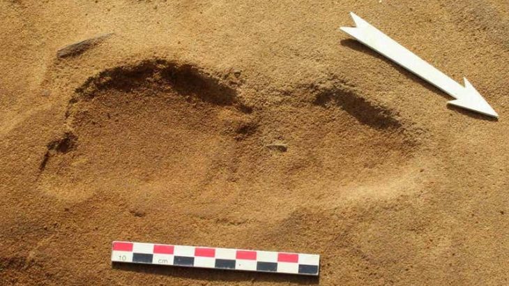 The largest known collection of Neanderthal tracks is giving scientists new insight into the size and composition of social groups 80,000 years ago.