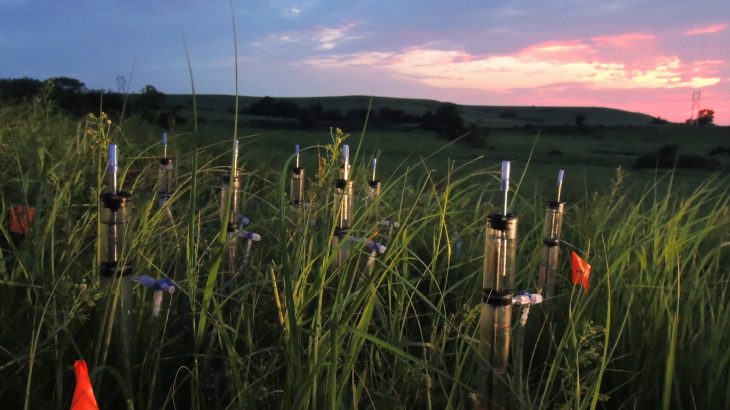 A new study has revealed how climate change may negatively impact soils, posing a threat to water sources and crops.