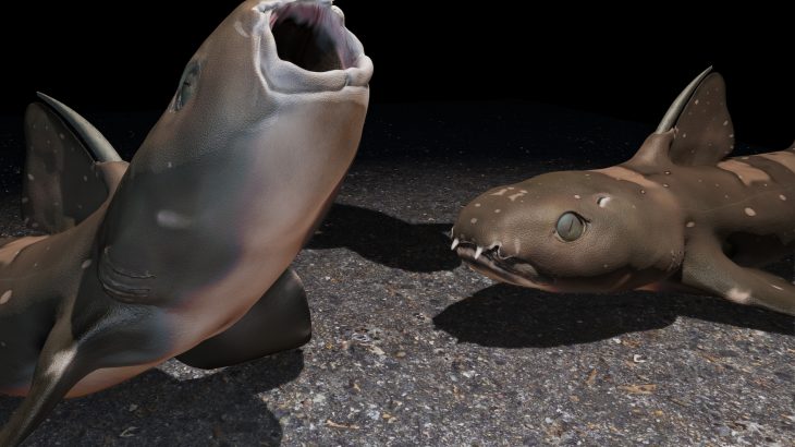 3D images of a 335-million-year-old shark fossil still encased in rock show that some ancient sharks were suction feeders like modern day bass, perch, and nurse sharks.