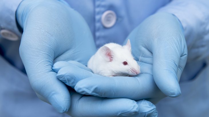 The Environmental Protection Agency (EPA) has announced plans to phase out research that involves testing on mammals.