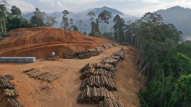 Deforestation in a Malaysian rainforest. The New York Declaration on Forests was created in 2014 with the goal of forest protection, but five years later no progress has been made.