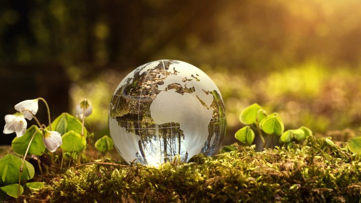 According to a team of environmental law scholars, major statutory reform may not be entirely necessary to address the global climate change crisis.