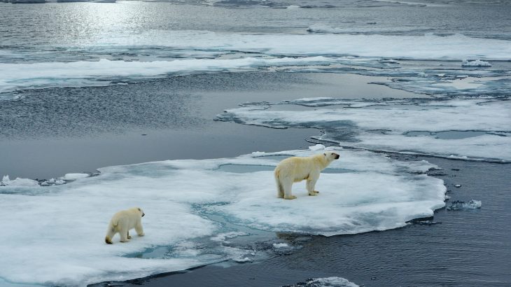 Collaboration between filmmakers and researchers could help to pinpoint the full impacts of nature documentaries on environmental action.