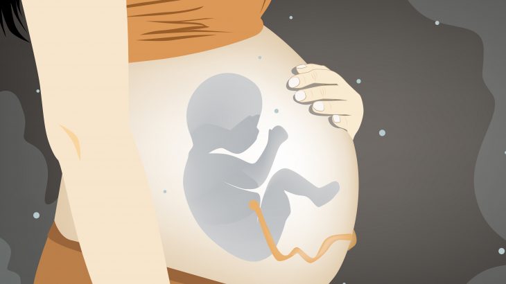 In a new study from Hasselt University, scientists have found evidence of air pollution in the placentas of 28 pregnant women.