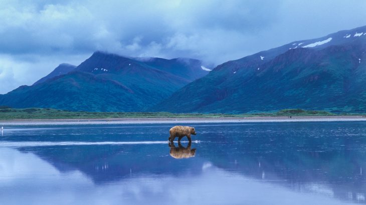 A directive from Trump instructed the Secretary of Agriculture to exempt Alaska's Tongass National Forest from nearly 20 year old logging restrictions.
