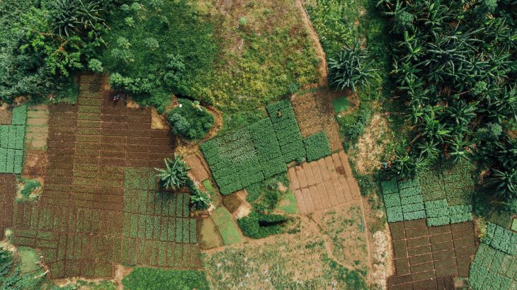 Researchers at Penn State have modified a smartphone application so that it can predict near-term crop productivity for farmers in Africa.