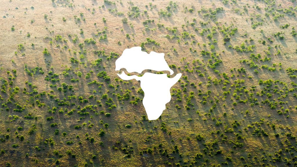 The Great Green Wall project is changing the landscape in North Africa