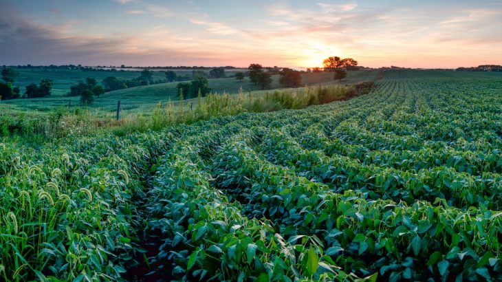 Several candidates have focused much of their attention on Iowa, where climate change is severely threatening the future of agriculture.