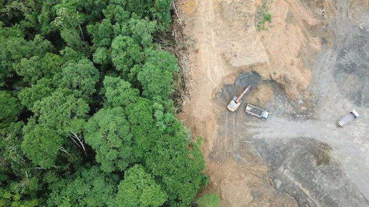 According to a new report, the biggest beef-consuming countries are playing their own role in deforestation across the Amazon.