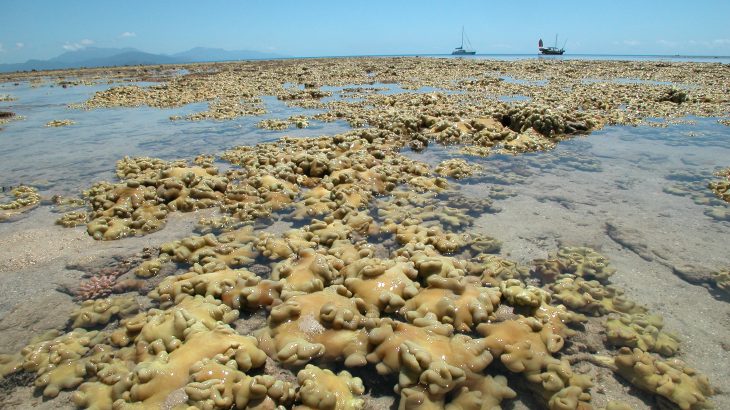 In an unprecedented study, a team led by researchers at Bar-Ilan University has analyzed changes in Australia's Great Barrier Reef (GBR) over the past 91 years.