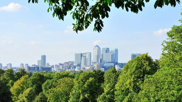 According to a new study, areas with more trees and high forest cover were as much as four degrees Celsius cooler than areas with sparse foliage.
