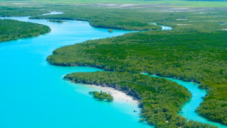Researchers have quantified the amount of carbon dioxide that is being captured and emitted by Australia's marine ecosystems, which is known as blue carbon.
