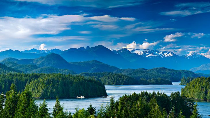 Since 1999, hundreds of people and animals in the Pacific Northwest have been infected by a tropical fungus, Cryptococcus gattii, which is mainly found in South America.