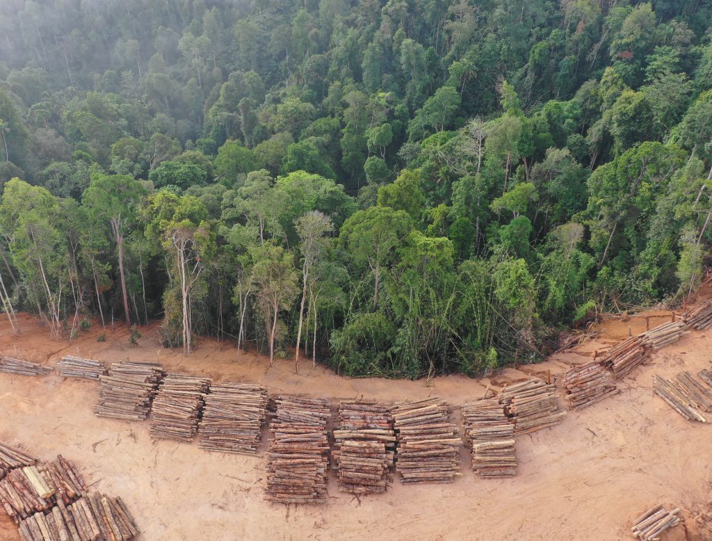 Land use changes affect disease transmission