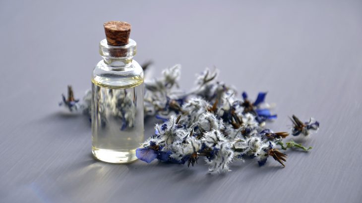 borage flower