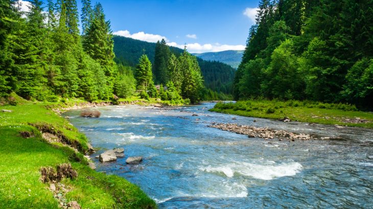 After analyzing evidence on the link between the economy and the environment, a team of experts has determined that wealth and overconsumption are the biggest economic drivers of environmental disasters such as climate change.