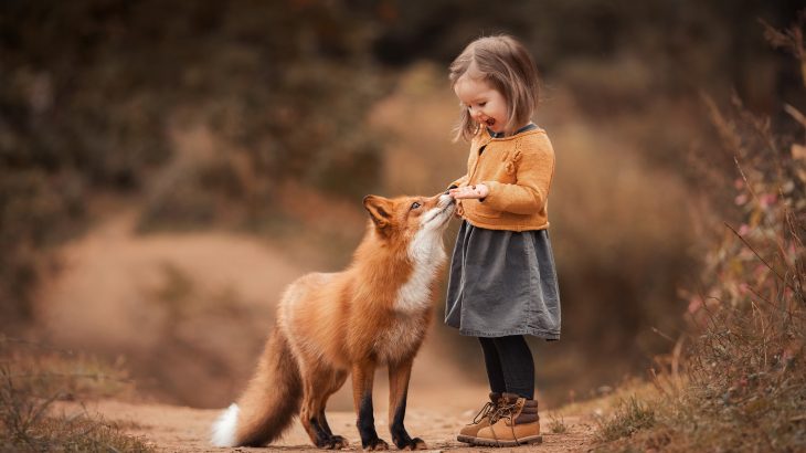 The research is inspiring new strategies for improving human-wildlife coexistence.