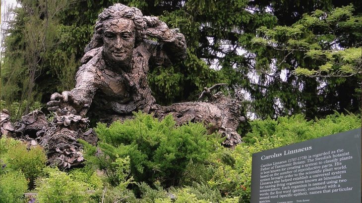 Linneaus Botanist Monument