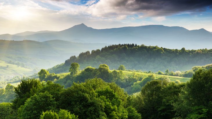 In a new study, researchers led by Professor Bernhard Schuldt of JMU Würzburg investigated how forests have responded, and will continue to respond, to prolonged extreme heat.